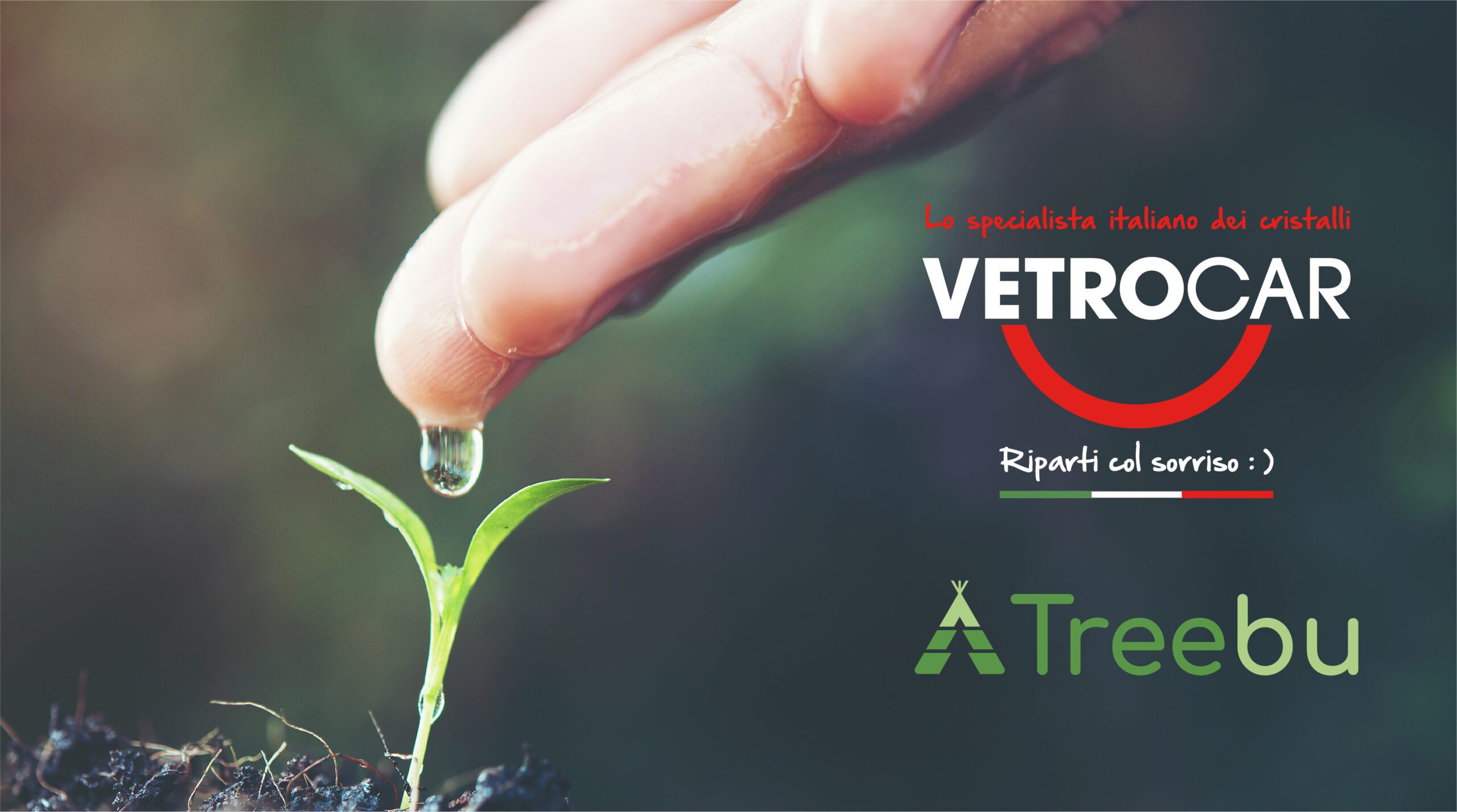 “Investire nel nostro Pianeta”: VetroCar contribuisce con la propria foresta di Paulownia